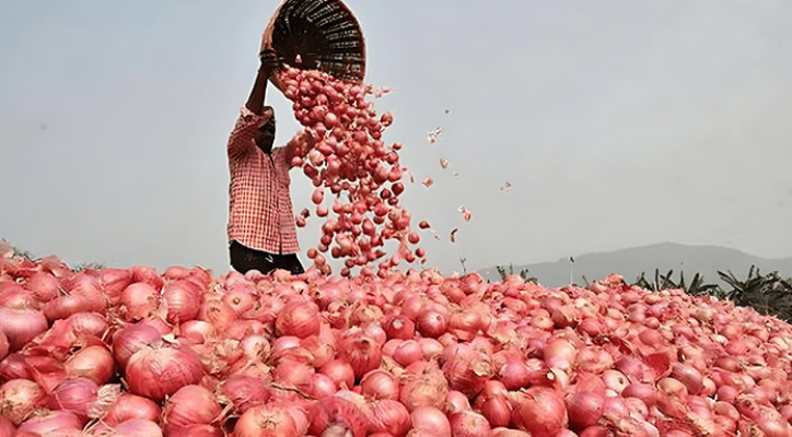 Sudden price hike of onion, solution in importing 