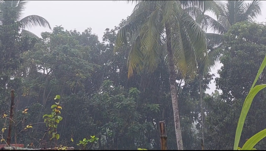 Double Trouble: Cold wave and heavy rains disrupt life in Chuadanga