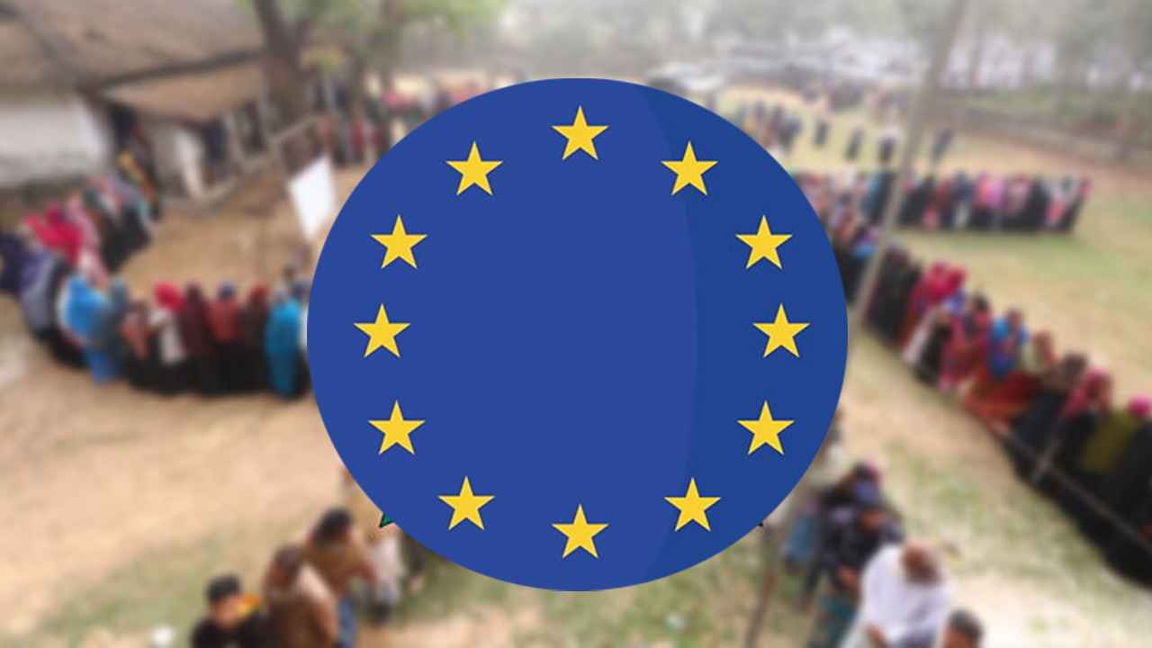 The January 7 elections failed to meet international democratic standards: European Union