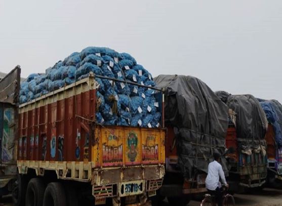 200 metric tonnes of potatoes imported from India through Benapole port