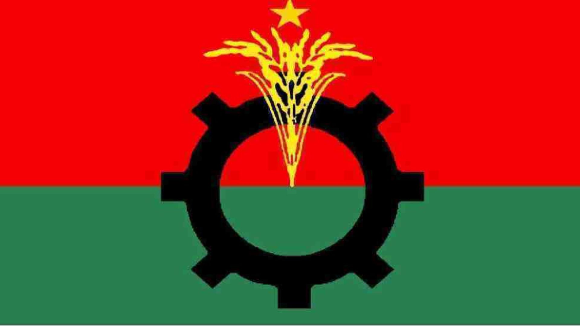 BNP won’t participate in upazila elections