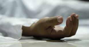 Man dies falling from tree in Khulna