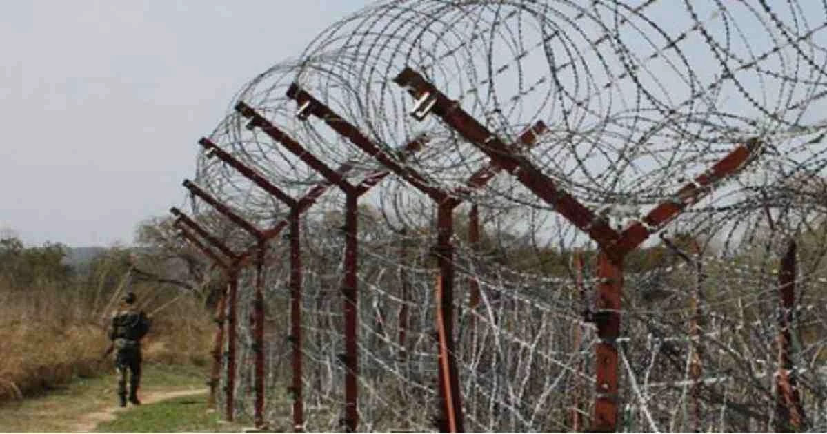 Bangladeshi man injured in BSF firing along Cumilla border