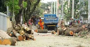 Save Environment: Writ petition filed to stop cutting trees