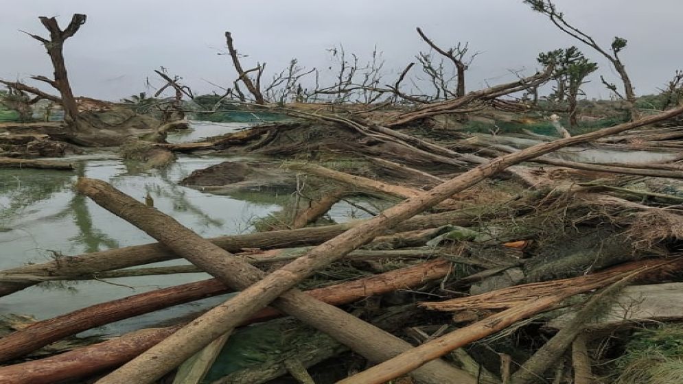 How Bangladesh is pioneering a path to disaster resilience