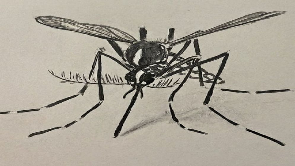 Are we prepared enough for another year of deadly dengue outbreak?