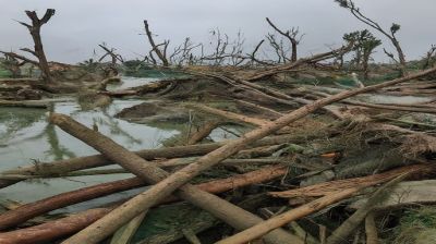 How Bangladesh is pioneering a path to disaster resilience