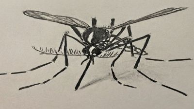 Are we prepared enough for another year of deadly dengue outbreak?