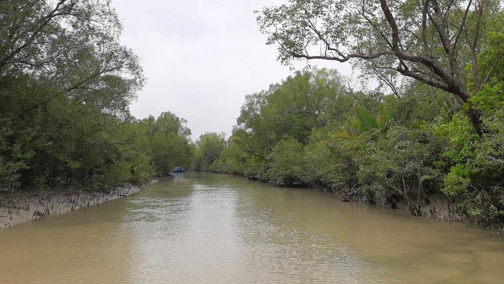 Forest Dept declares Sundarbans closed to visitors for 3 months