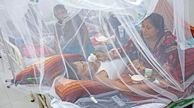 Dengue: 16 patients hospitalised in 24hrs