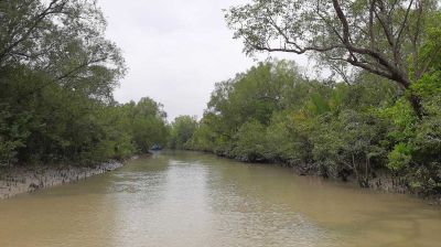 Forest Dept declares Sundarbans closed to visitors for 3 months