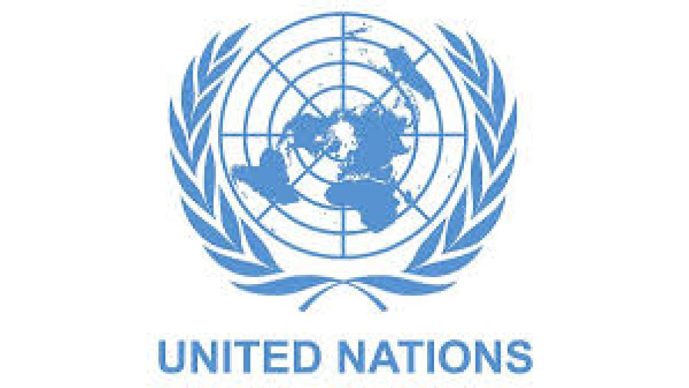 UNDP restates full support for interim government