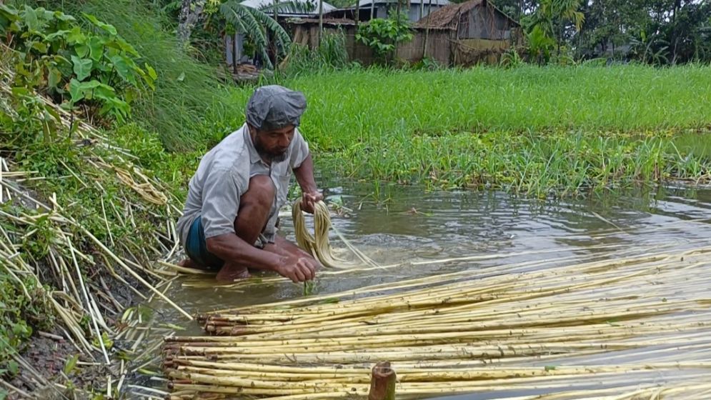 Natural disasters cause Tk 105cr loss in Kurigram’s agri sector this year