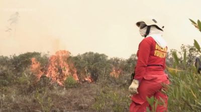 15 dead, thousands hectares scorched as wildfires sweep Peru