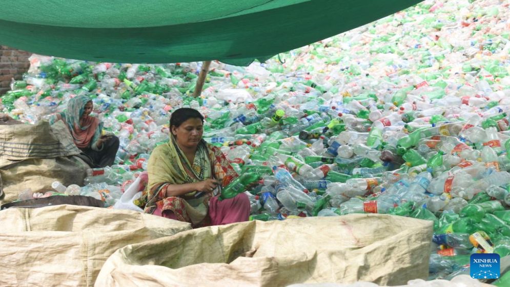 Scientists discover lesser mealworm's potential to combat plastic waste