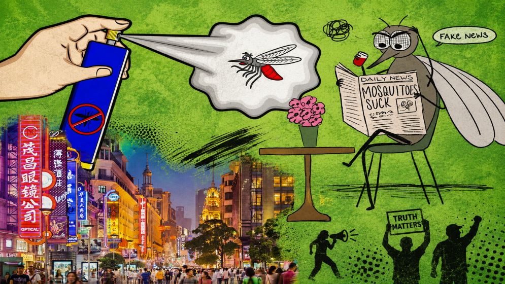 China cuts local dengue outbreaks despite global surge, pushes low-cost control model abroad